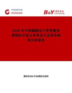 2026年中國腳踏動力背帶懸掛滑翔機市場占有率及行業競爭格局分析報告