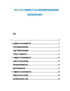 2025-2030中國銦化工行業市場深度調研及發展趨勢和前景預測研究報告