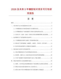 2026及未來5年橡膠輪襯項目可行性研究報告