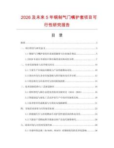 2026及未來5年銅制氣門嘴護(hù)套項(xiàng)目可行性研究報告