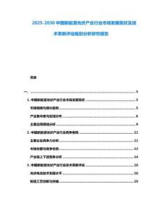 2025-2030中國新能源光伏產業行業市場發展現狀及技術革新評估規劃分析研究報告