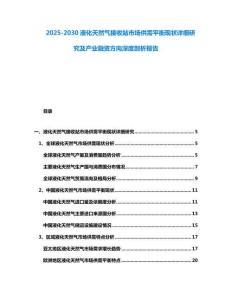2025-2030液化天然氣接收站市場供需平衡現狀詳細研究及產業融資方向深度剖析報告