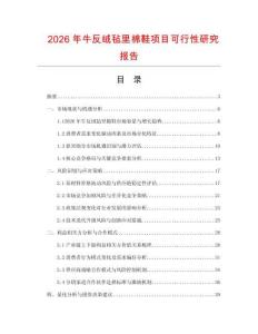 2026年牛反絨氈里棉鞋項(xiàng)目可行性研究報告