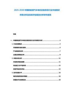 2025-2030中國新能源汽車電機控制系統行業市場現狀供需分析及投資評估規劃分析研究報告