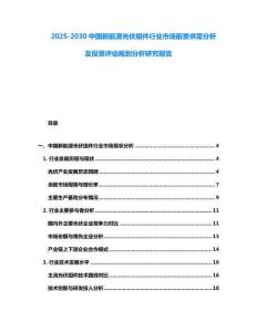 2025-2030中國(guó)新能源光伏組件行業(yè)市場(chǎng)前景供需分析及投資評(píng)估規(guī)劃分析研究報(bào)告