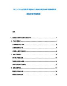 2025-2030信息安全防護(hù)行業(yè)市場供需分析及網(wǎng)絡(luò)空間規(guī)劃分析研究報(bào)告
