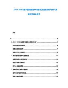 2025-2030數字營銷服務市場格局及流量變現與新興賽道投資機會報告