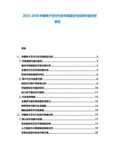 2025-2030中國電子支付行業(yè)市場現(xiàn)狀與投資價值分析報(bào)告