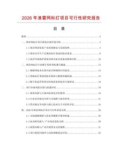 2026年漁雷網標燈項目可行性研究報告
