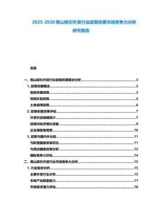 2025-2030黑山吸引外資行業政策優惠市場競爭力分析研究報告