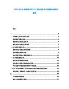 2025-2030中國電子支付行業(yè)市場分析與發(fā)展趨勢研究報(bào)告