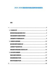 2025-2030散裝煤炭鐵路運輸瓶頸問題報告