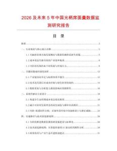 2026及未來5年中國光柄席面羹數(shù)據(jù)監(jiān)測研究報告