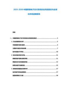 2025-2030中國跨境電子支付系統安全風險防控與全球化布局戰略報告
