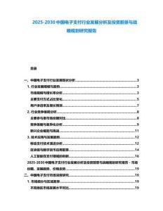 2025-2030中國電子支付行業發展分析及投資前景與戰略規劃研究報告