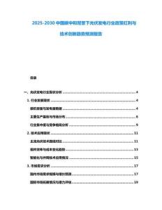 2025-2030中國碳中和背景下光伏發電行業政策紅利與技術創新趨勢預測報告