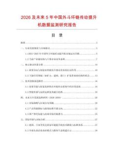2026及未來5年中國外斗環鏈傳動提升機數據監測研究報告