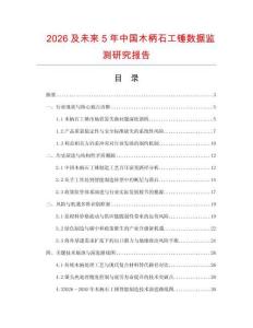2026及未來5年中國木柄石工錘數據監測研究報告