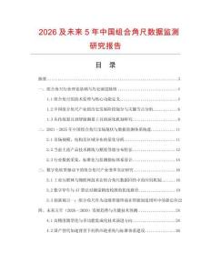 2026及未來5年中國組合角尺數據監測研究報告