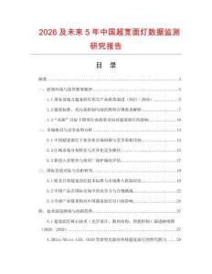 2026及未來5年中國超寬面燈數據監測研究報告