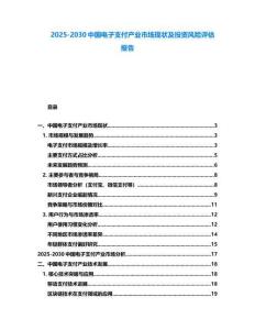 2025-2030中國電子支付產業市場現狀及投資風險評估報告
