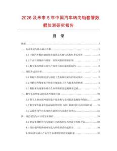 2026及未來5年中國汽車轉向軸套管數據監測研究報告