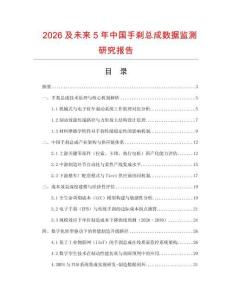2026及未來5年中國手剎總成數據監測研究報告