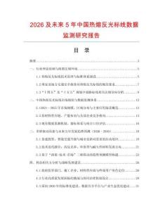 2026及未來5年中國熱熔反光標線數據監測研究報告