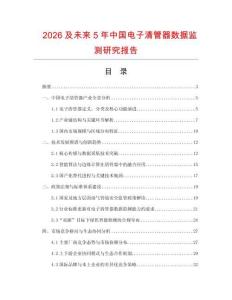 2026及未來5年中國電子清管器數據監測研究報告