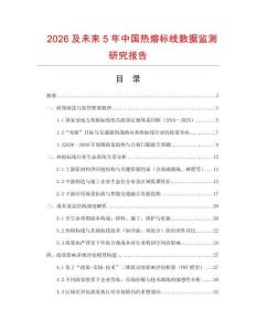 2026及未来5年中国热熔标线数据监测研究报告