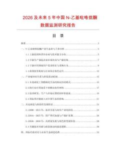 2026及未來5年中國N-乙基吡咯烷酮數據監測研究報告