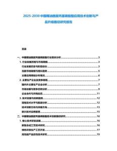 2025-2030中國椰油酰胺丙基磷酸酯應用技術創新與產品升級路徑研究報告