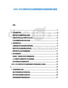 2025-2030數字支付行業競爭格局與市場投資潛力報告