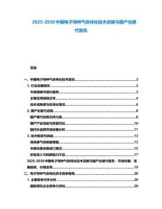2025-2030中國電子特種氣體純化技術進展與國產化替代報告