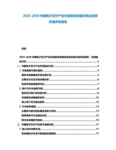 2025-2030中國電子支付產業市場現狀發展態勢及投資價值評估報告