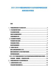 2025-2030中國動畫電影制片行業(yè)市場競爭格局及投資前景深度分析報告
