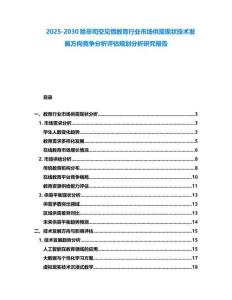 2025-2030除非司空見慣教育行業(yè)市場供需現(xiàn)狀技術(shù)發(fā)展方向競爭分析評估規(guī)劃分析研究報告