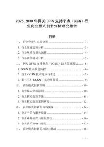 2025-2030年網(wǎng)關(guān)GPRS支持節(jié)點（GGSN）行業(yè)商業(yè)模式創(chuàng)新分析研究報告
