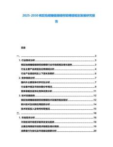2025-2030檳跎殆蟯糠錨細(xì)蟯柑锨槽蠓規(guī)劃發(fā)展研究報告