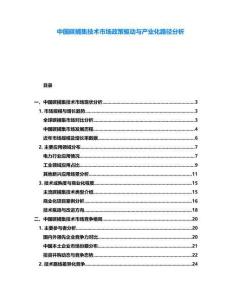 中國碳捕集技術市場政策驅動與產業化路徑分析