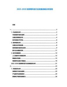 2025-2030互聯(lián)網(wǎng)科技行業(yè)發(fā)展戰(zhàn)略分析咨詢