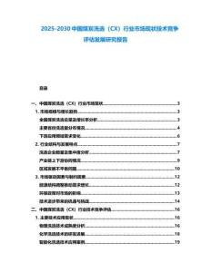 2025-2030中國煤炭洗選（CX）行業市場現狀技術競爭評估發展研究報告