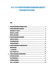 2025-2030西安軟件園區(qū)國(guó)際化發(fā)展政策建議暨知識(shí)產(chǎn)權(quán)保護(hù)國(guó)際合作論壇報(bào)告