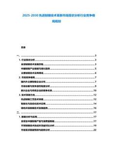 2025-2030先進制鎳技術革新市場現狀分析行業競爭格局規劃