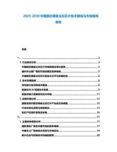2025-2030中國固態(tài)硬盤主控芯片技術(shù)路線與市場格局報告