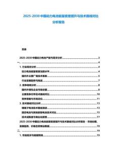 2025-2030中國動力電池能量密度提升與技術路線對比分析報告