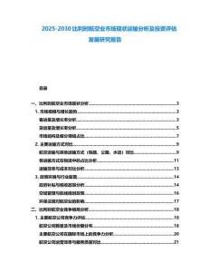 2025-2030比利時航空業市場現狀運輸分析及投資評估發展研究報告