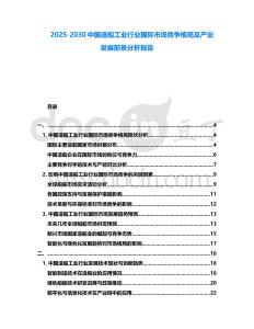 2025-2030中國造船工業行業國際市場競爭格局及產業發展前景分析報告