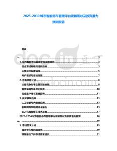 2025-2030城市智能停車管理平臺(tái)發(fā)展現(xiàn)狀及投資潛力預(yù)測(cè)報(bào)告