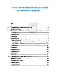2025至2030中國可重復使用的呼吸器行業市場深度研究及發展前景投資可行性分析報告